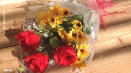 Tại sao 20/11 người ta thường hay tặng hoa cho thầy cô?