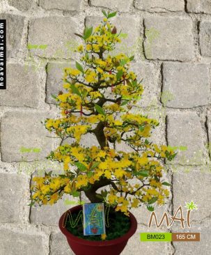 Mai bonsai 165cm BM023